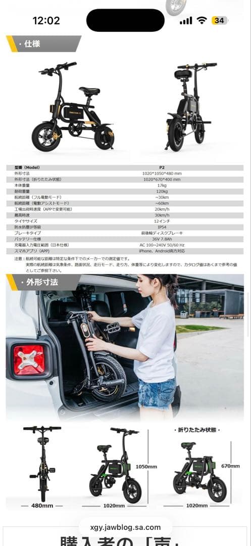 《大阪府直接取引》INMOTION P2 折りたたみ電動自転車 ブラック