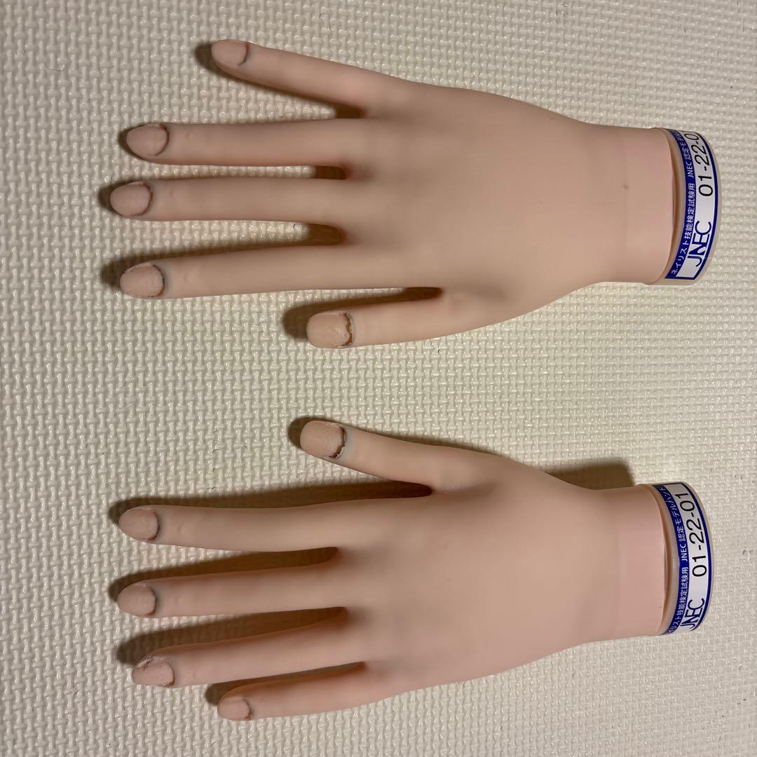 【箱付き】JNEC認定モデルハンド ネイリスト技能検定 JNEC認定 STモデルハンド 3点セット ネイルチップ/ルース