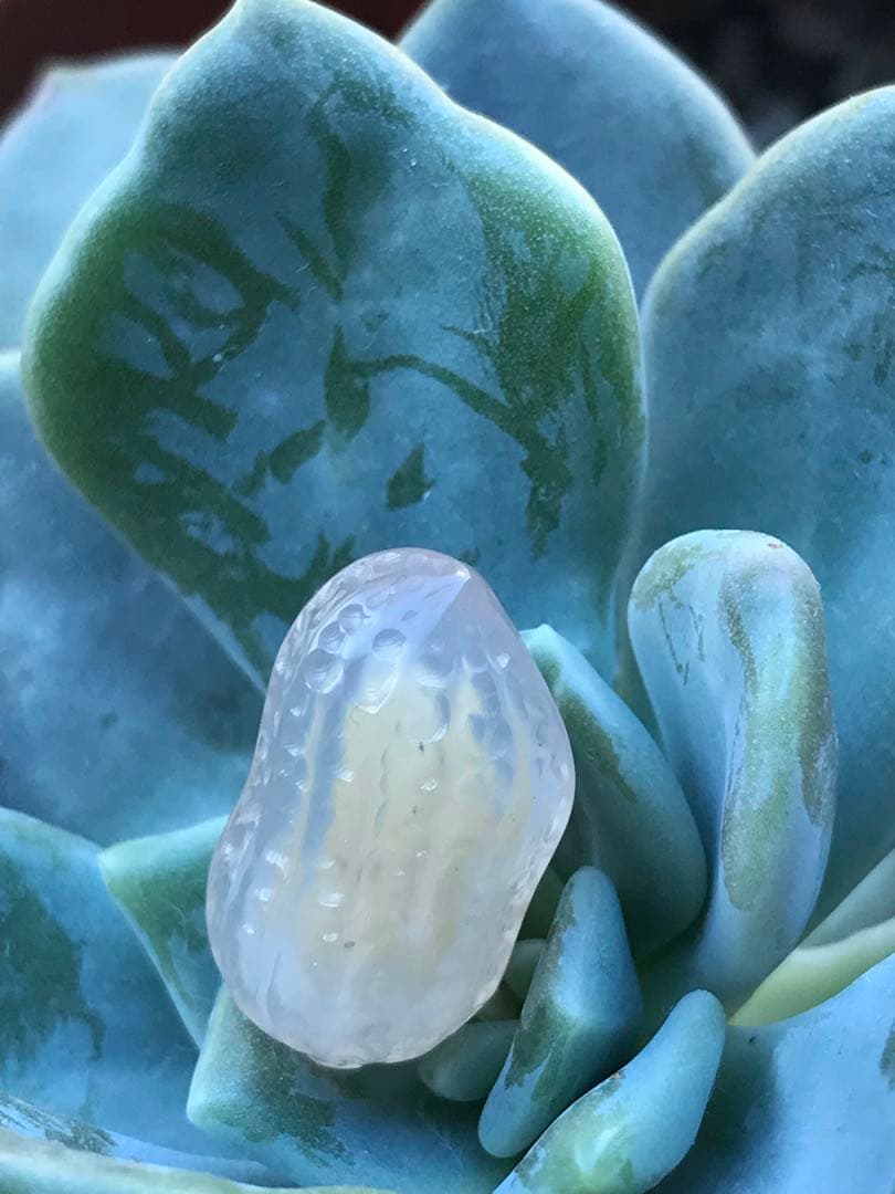 ゴビ石−1451 ゴビ瑪瑙 彫刻 『ピーナッツ、ラッカセイ』 - メルカリ