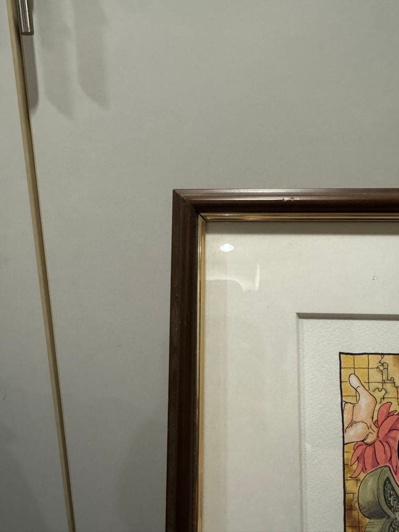 激レア】ONE PIECE ワンピース 10周年 高級複製原画