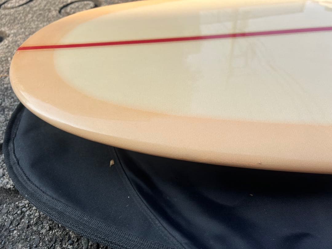 Joel Tudor 9'4 Spring Field / スプリングフィールド - メルカリ