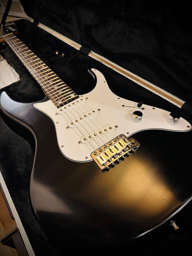 ギター FREEDOM CUSTOM GUITAR RESEARCH EZa 24f エレキギター】Freedom Custom Guitar Research EZa 24F ｜トラッド