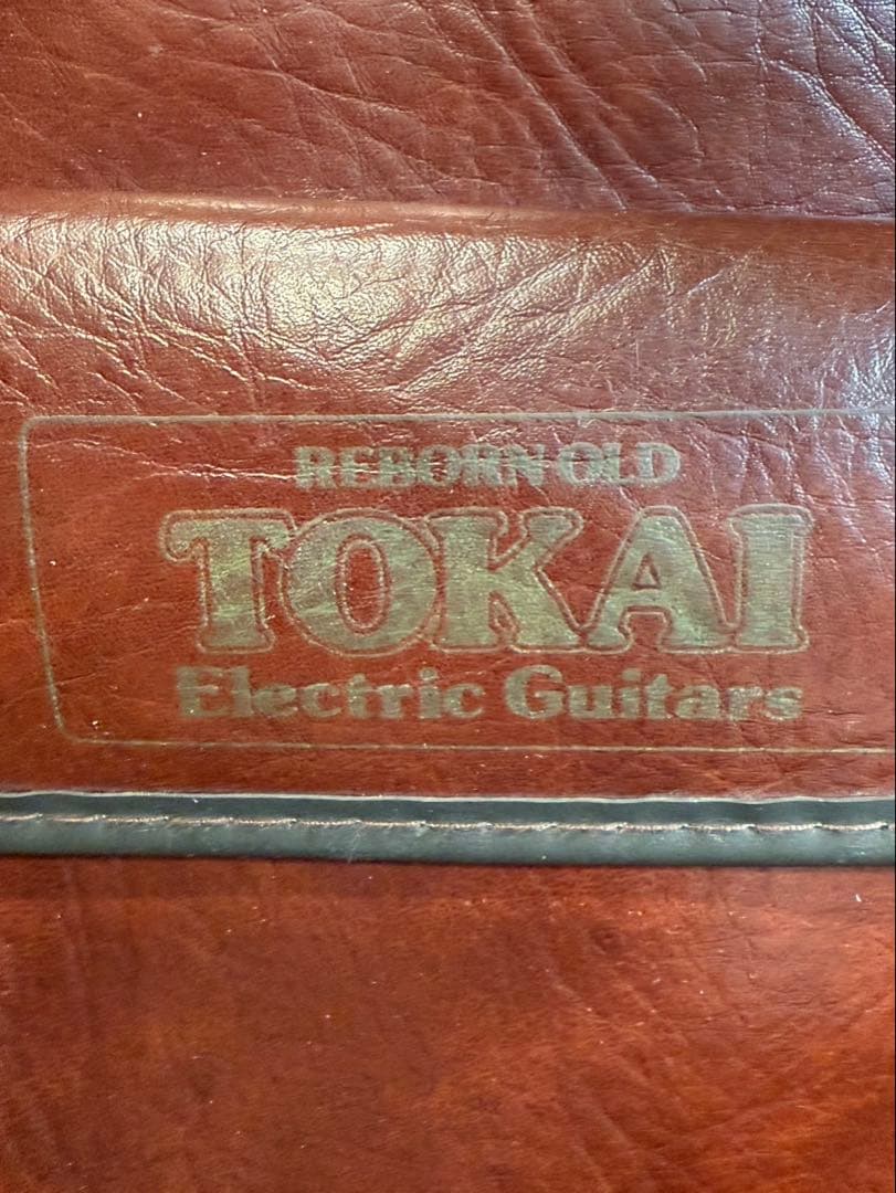 本日限定値下げ☆エレキギター 星野楽器 アイバニーズ F334235 RX