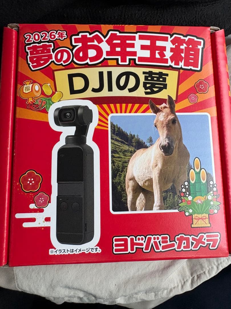 オ*ム様 ヨドバシカメラ2026年 夢のお年玉箱 DJIの夢 - メルカリ
