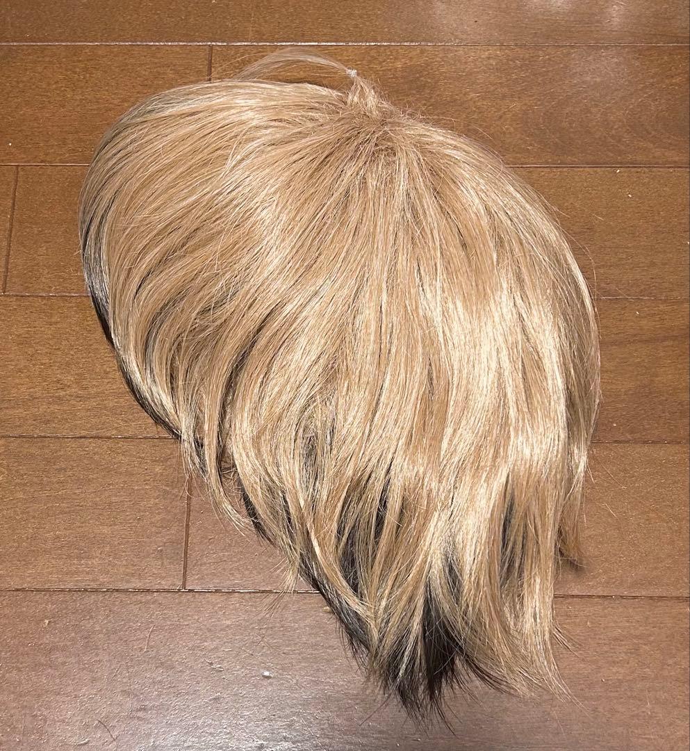 桃源暗鬼 とうげんあんき 皇后崎迅 こうがさきじんウィッグ コスプレ