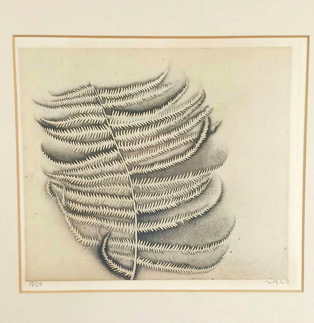 ues-20 広島の名画家 殿敷侃 版画 シダ 限定50部 図録掲載作品 - メルカリ