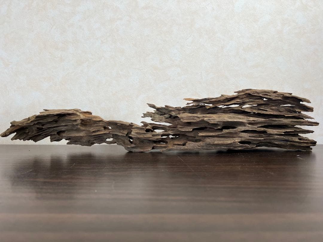 XM-446 流木 マシンガンウッド ブランチウッド アクアリウム - メルカリ