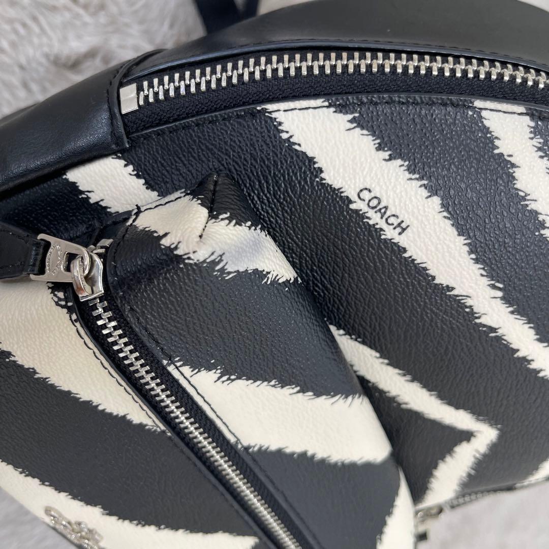 美品⭐️COACH コーチ F39033 レザー ゼブラ柄 リュックサック コーチ