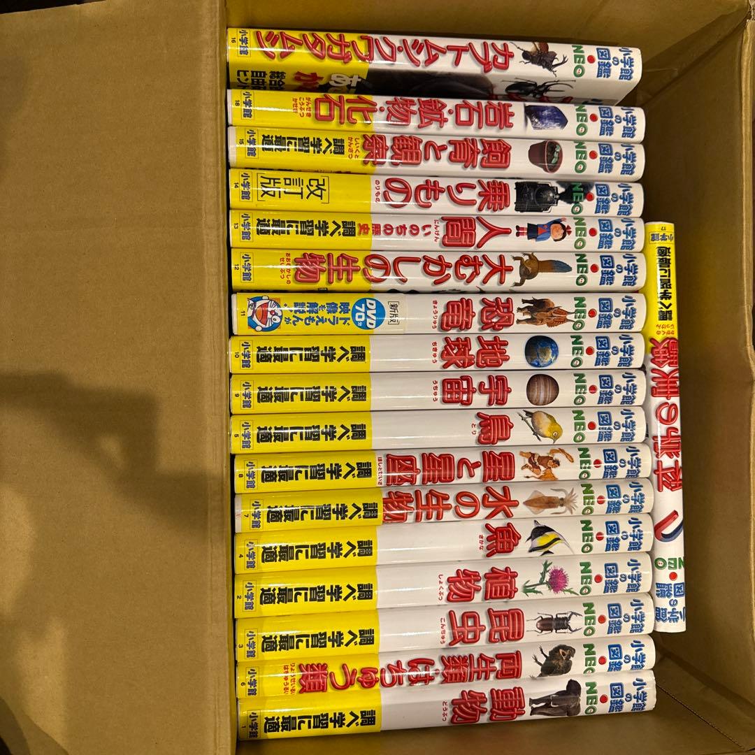 小学館の図鑑NEO18札セット まとめ売り 71sQk70RMDL.jpg