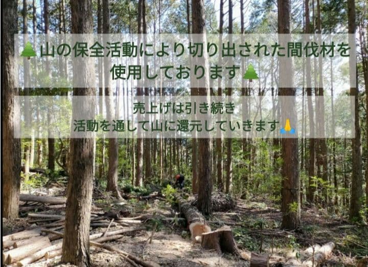 山師の手作り” 樹齢100年 桧の切り株スツール キャンペーン期間限定