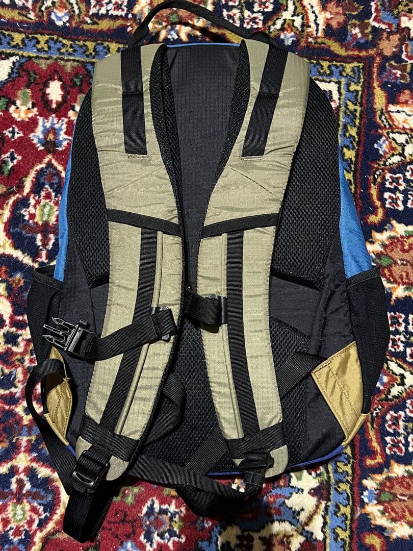 CHUMS Spring da￼le 20L マルチカラー チャムス リュック