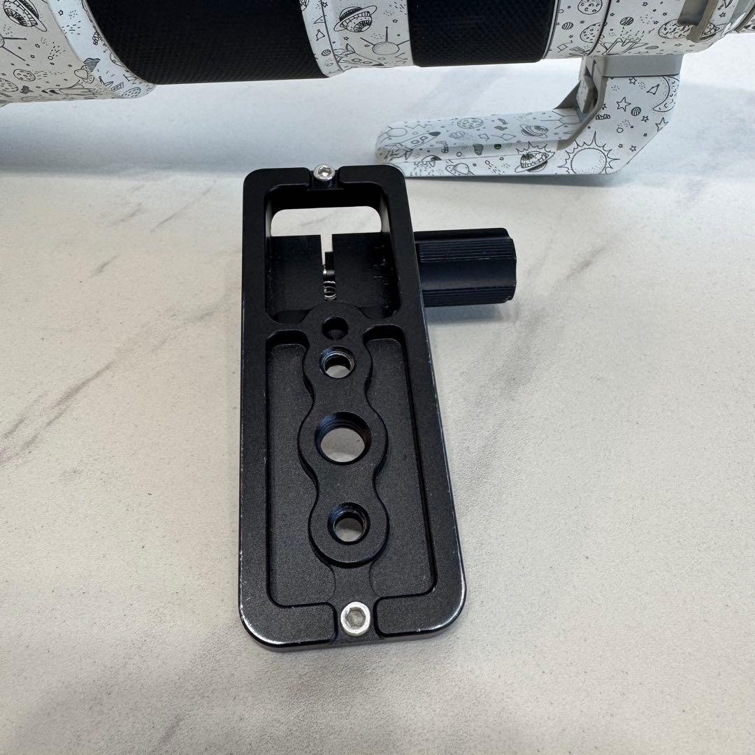 【週末値下げ/おまけ多数】FE 200-600mm F5.6-6.3 G OSS