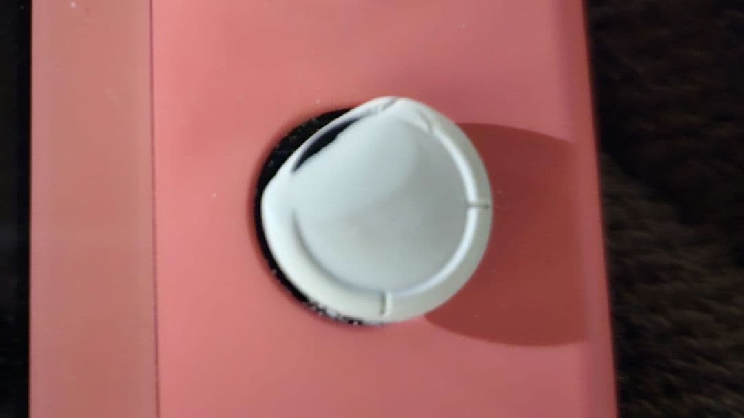 Nintendo Switch Lite ピンク LRスティック摩耗