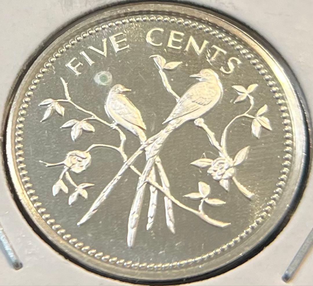 さき　Saki’s House