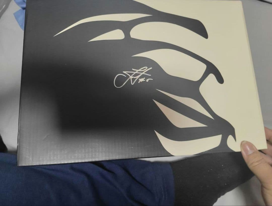 361° Joker 2 \"MIRO\" High ニコラヨキッチ バッシュ