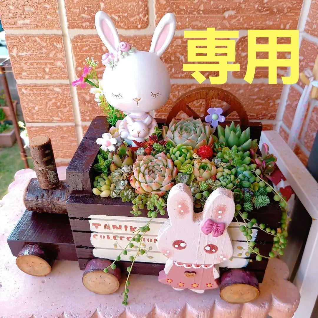 ❤️専用❤️多肉植物♥そのまま飾れる寄せ植え♥ぬいぐるみ抱っこ