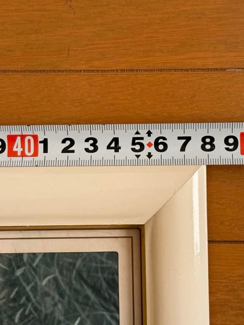 ルアーン・マニング 馬の絵画 白フレーム付き