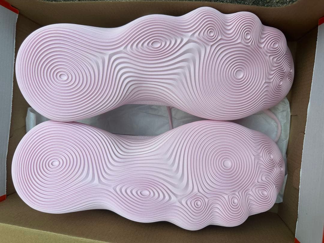 シューズ(男性用) Nike HYPERDUNK 2017 LOW EP 25.5cm