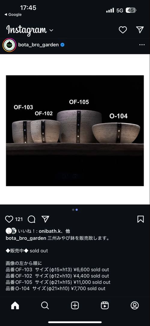 インボイス発行可 オペルクリカリア パキプス 幹幅18㎝ 発根済み 三州