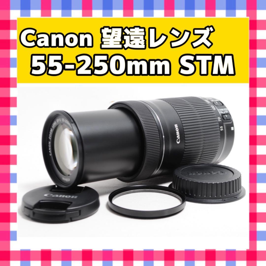 静音・高速AF❤️Canon EF-S 55-250mm STM❤️手振れ補正
