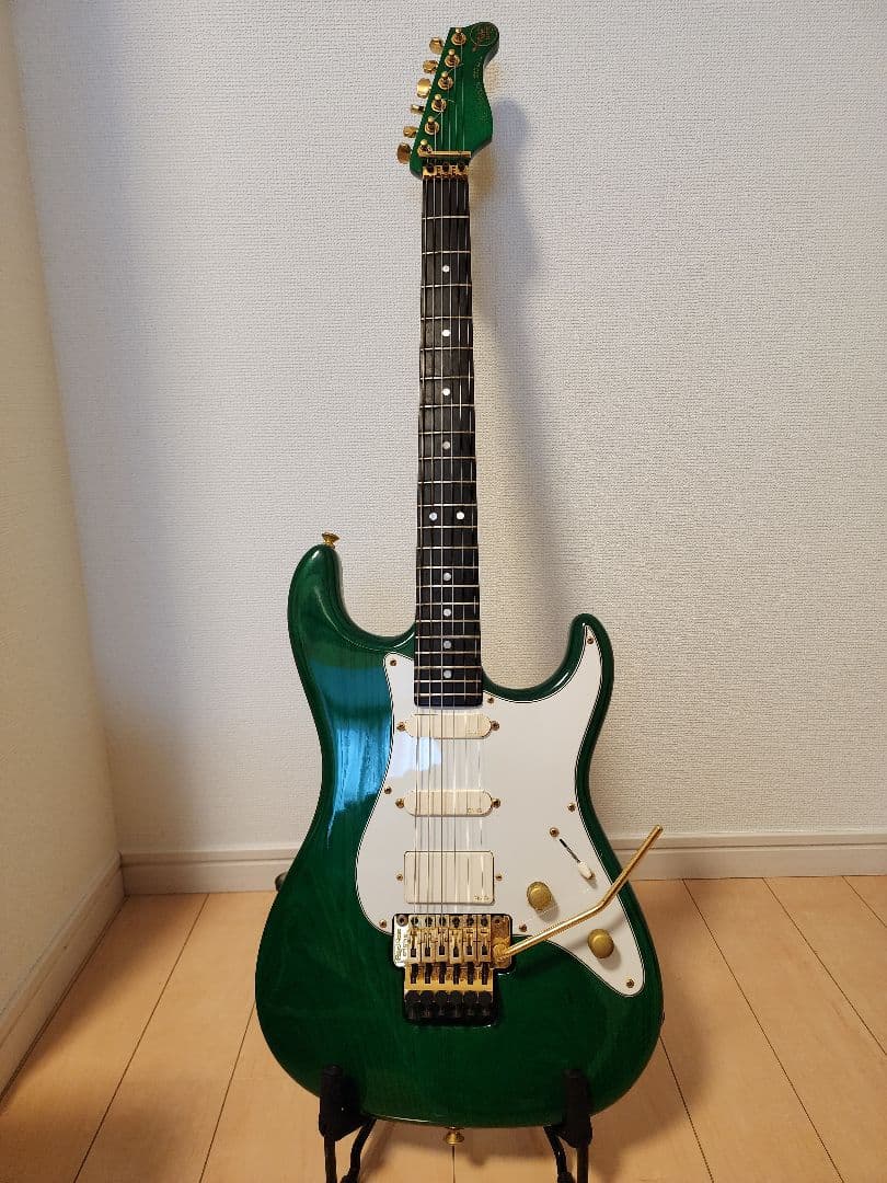 VALLEY ARTS GUITAR M Series VALLEY Series terraeagle.com