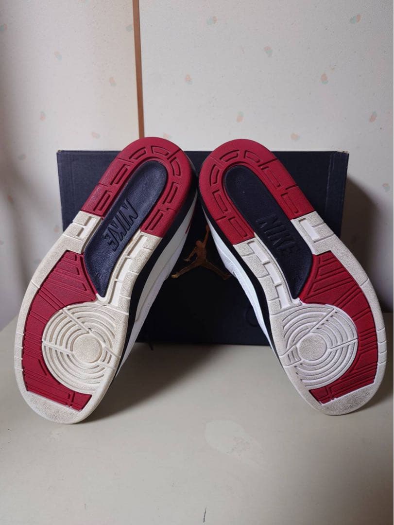 NIKE AIR JORDAN 2 Letro 28.0cm ジョーダン2