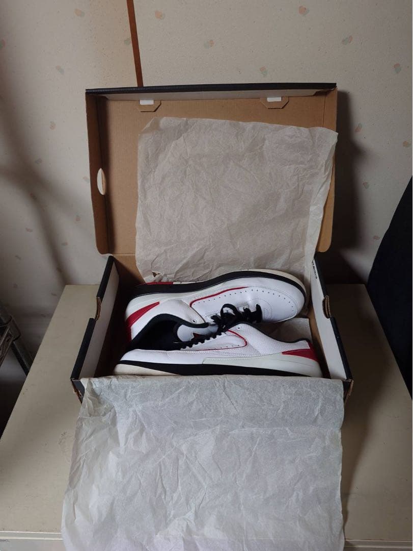 NIKE AIR JORDAN 2 Letro 28.0cm ジョーダン2