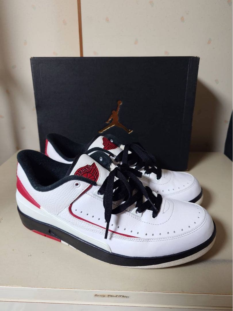 NIKE AIR JORDAN 2 Letro 28.0cm ジョーダン2