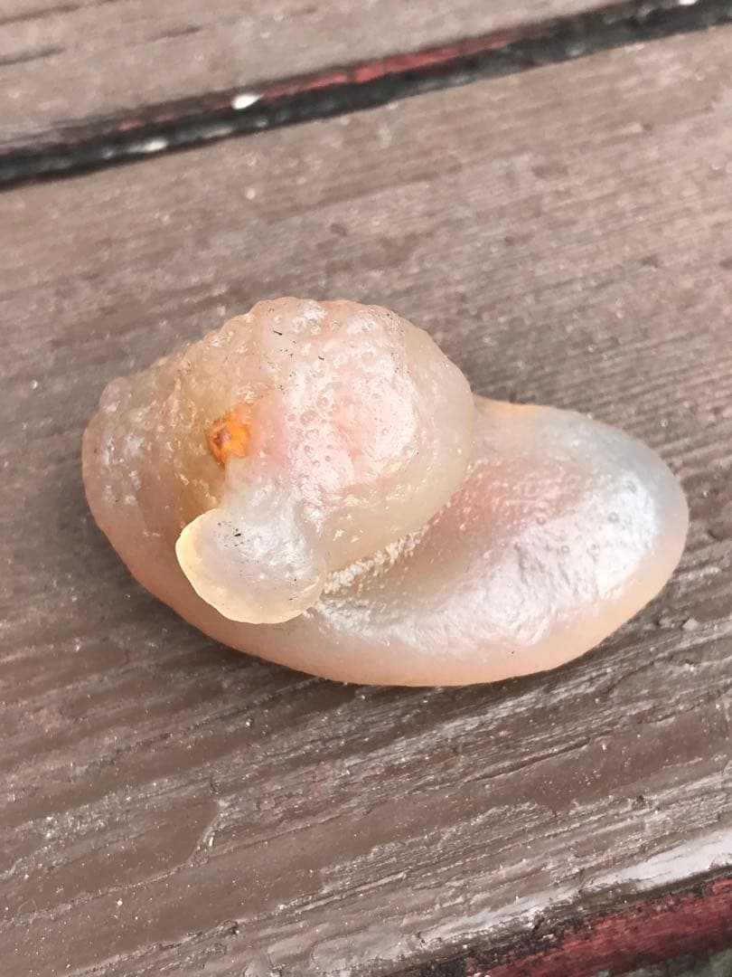 ゴビ石−1412 ゴビ瑪瑙 『銀杏』和菓子 彫刻 ゴビ石−1412 ゴビ瑪瑙