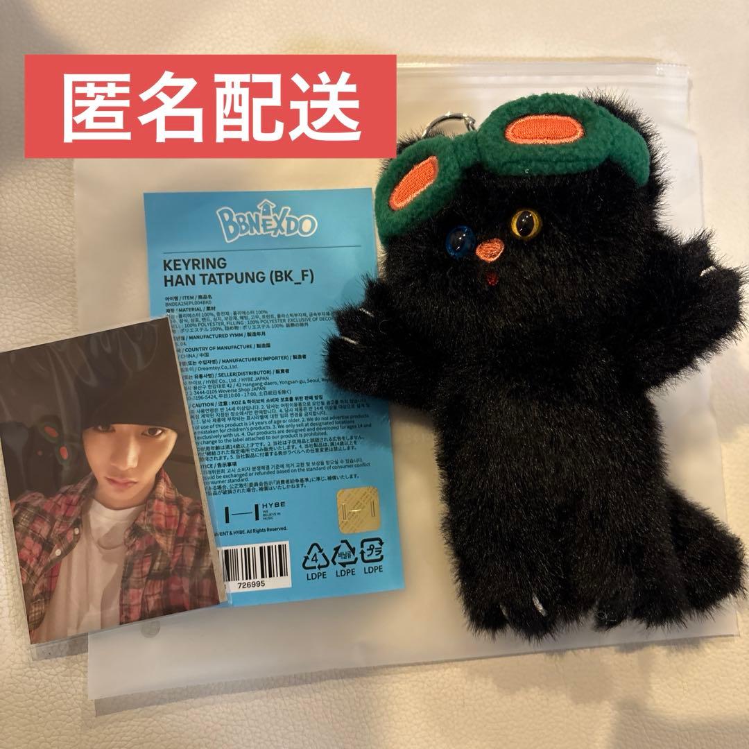 BOYNEXTDOOR プネクド テップン キーリング - メルカリ