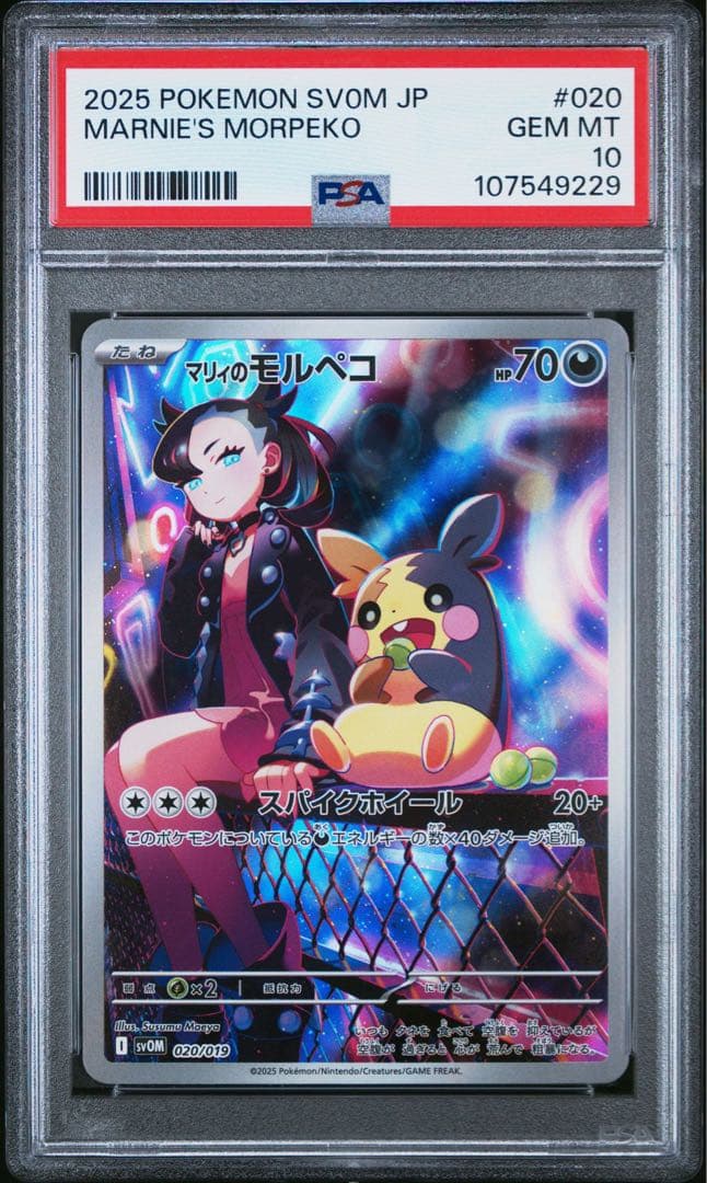 ポケモンカード マリィのモルペコ psa10 ⑨