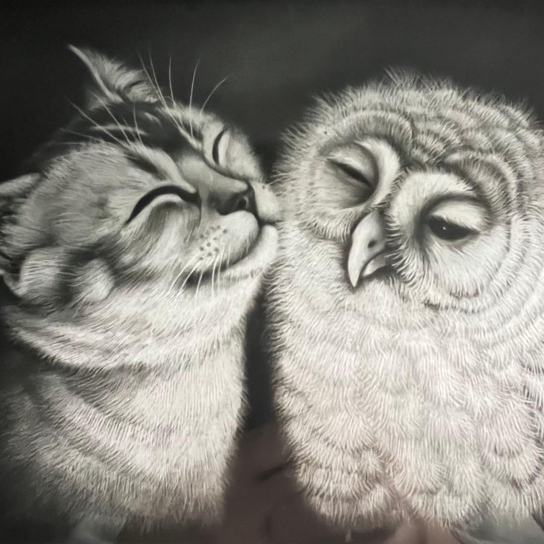 生田宏司 ＊ 銅版画 ＊ メゾチント ＊ フクロウ ＊ ふくろう - メルカリ