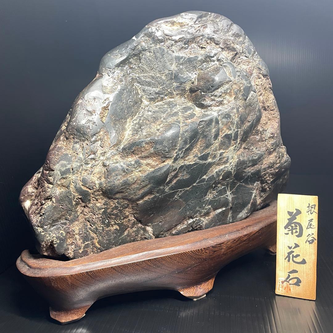 最高峰 根尾谷 菊花石 重量 10.77kg 特大 台座 鑑賞石 盆石 水石 白