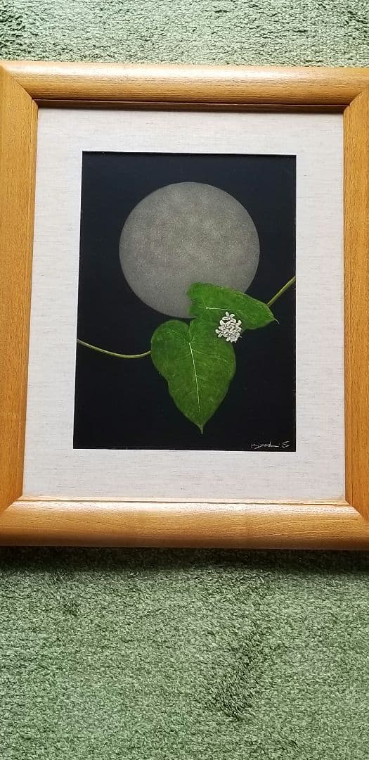 長野県大町市在住の齋藤清さんのかがいもの花