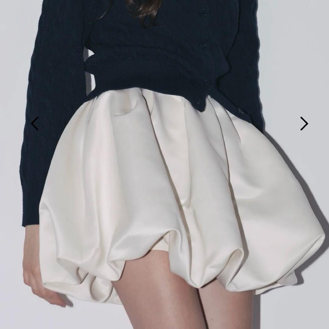 スカート THETOE VENICE BALLOON SKIRT Venice Balloon Skirt – THE TOÉ