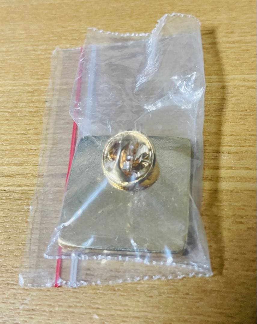 超激レア・非売品】大阪・関西万博 Expo 2025トルコ館 ピンバッジ