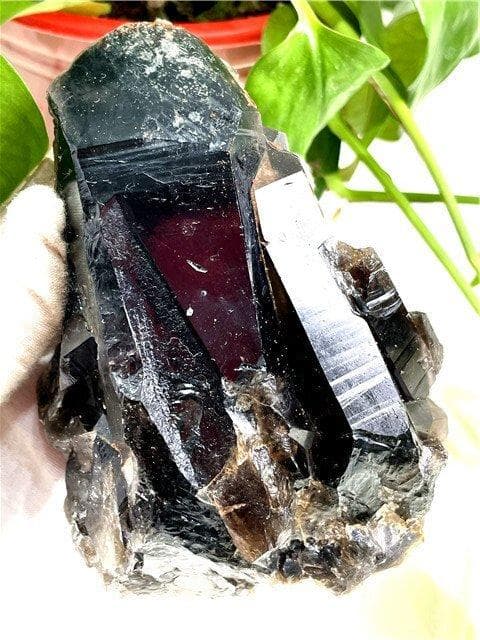 AAA級【魔除け】◇天然モリオン(黒水晶）クラスターYT8C6/170C15C