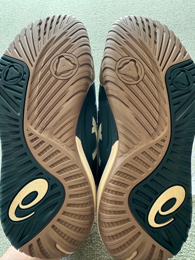 アシックス　ゲルレゾリューションX (25.0cm)