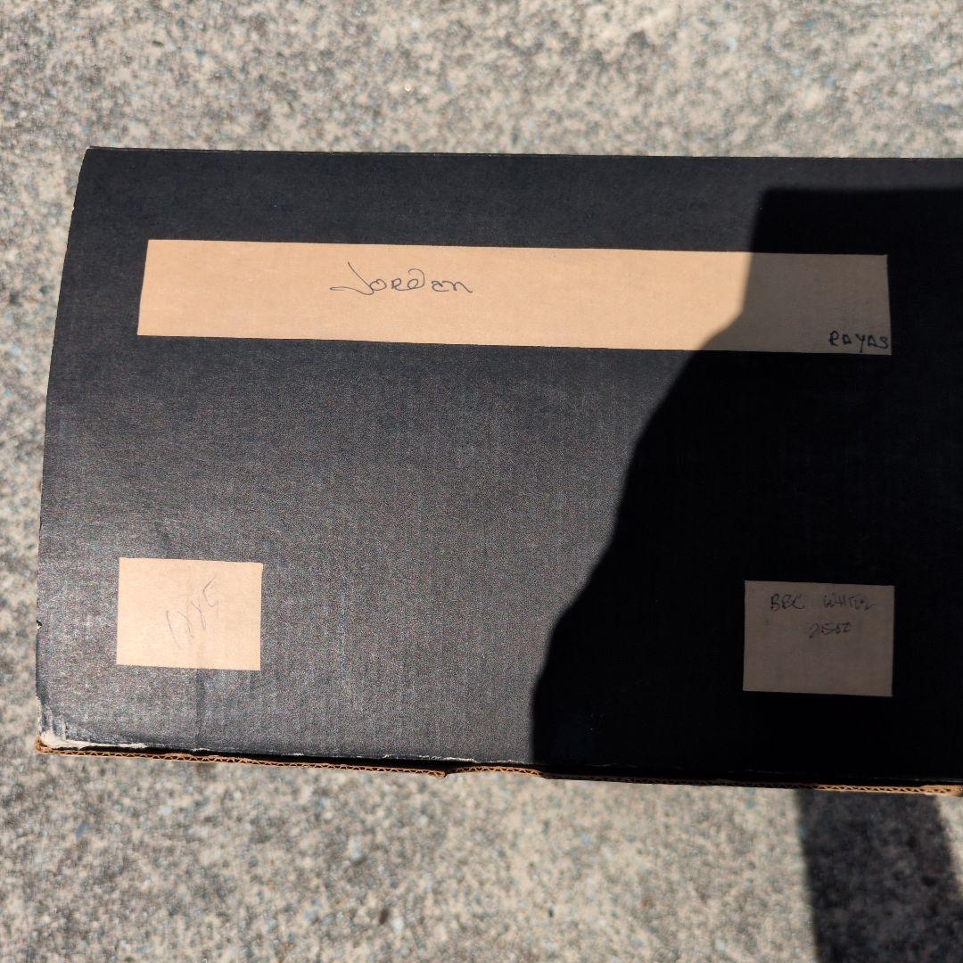 貴重 サルビノ Michael Jordan 限定フィギュア ナンバリングあり