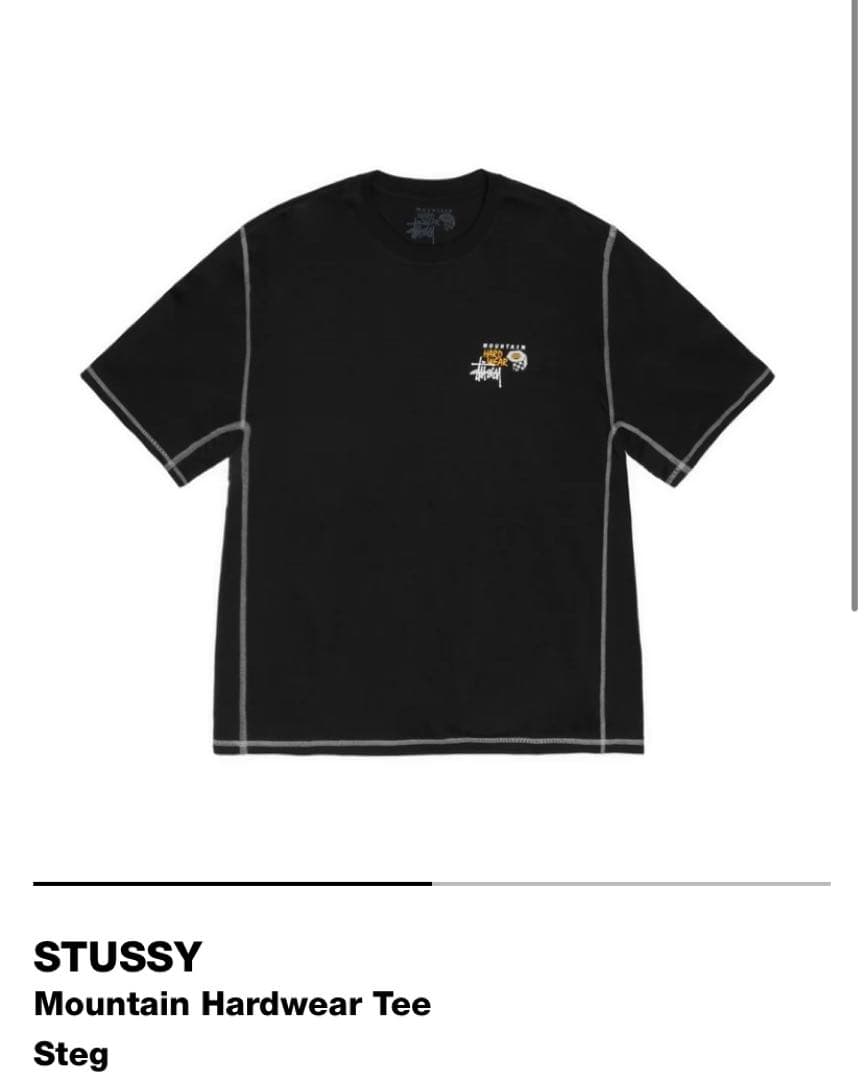 Stussy x Mountain Hardwear Mサイズ s-l400.jpg
