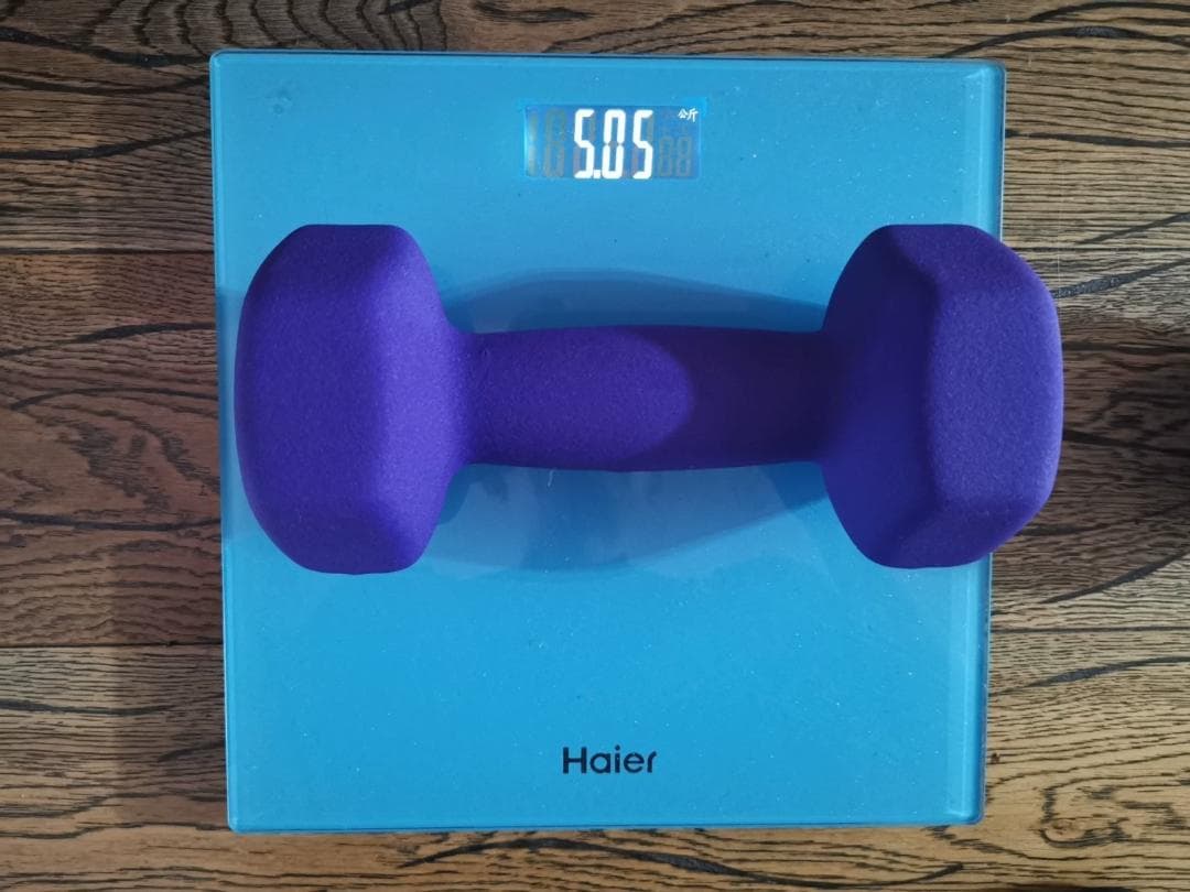 5.0KG 紫色 ダンベル