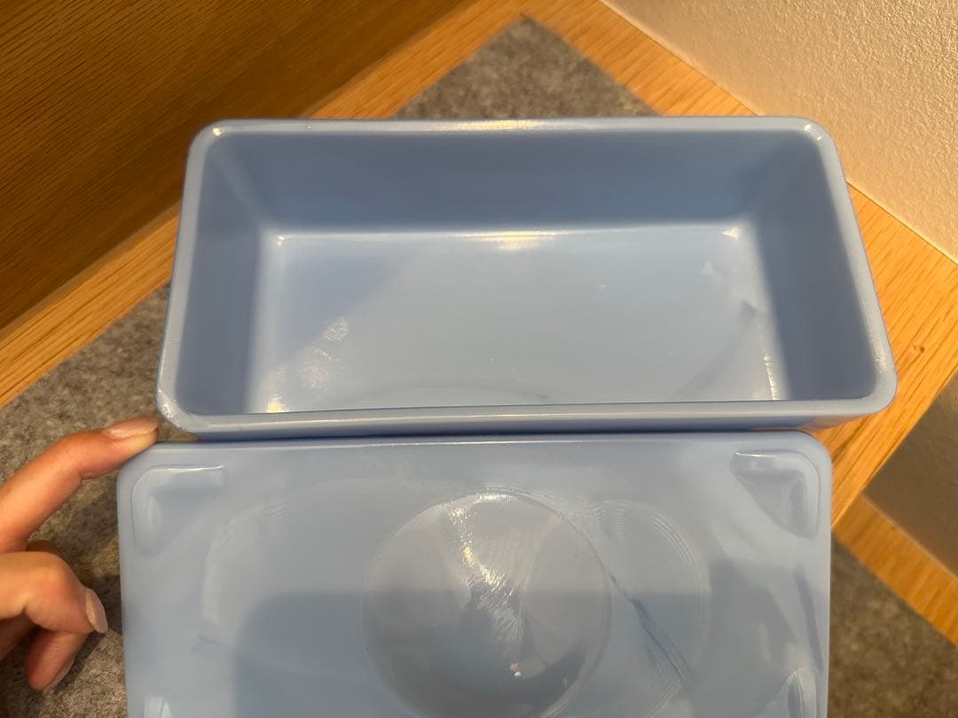 １月末まで　ジャネット社　マッキー社　デルファイトブルーレフトオーバー　レフ