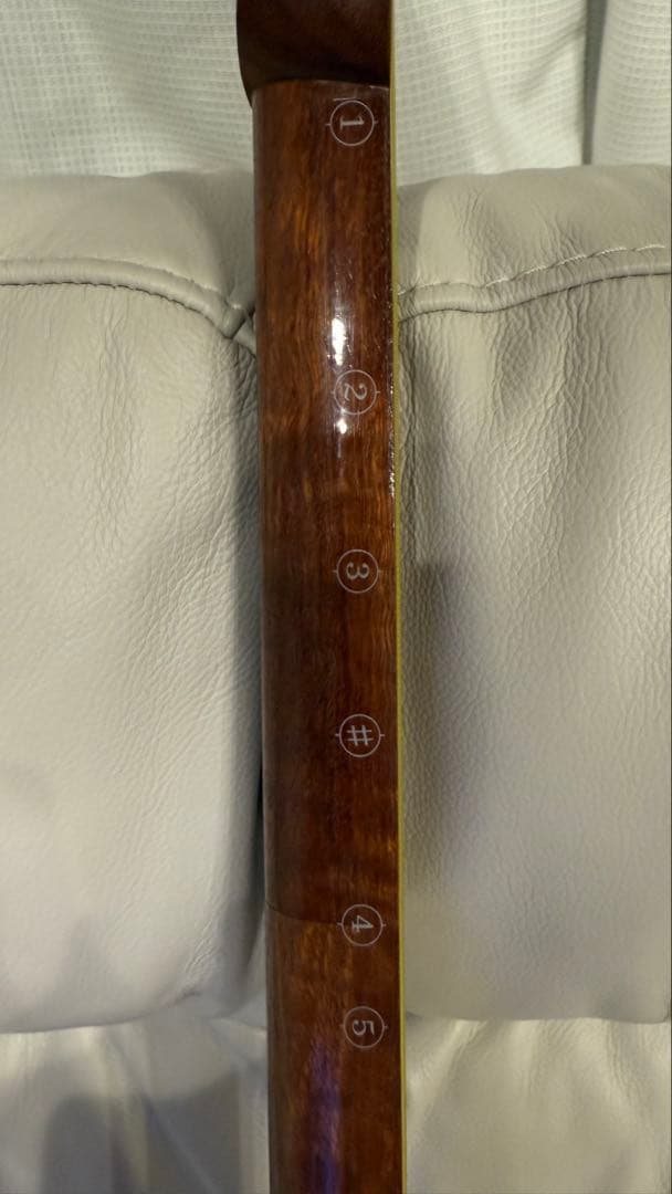 【破れ無し】美品　本体　三味線　中棹