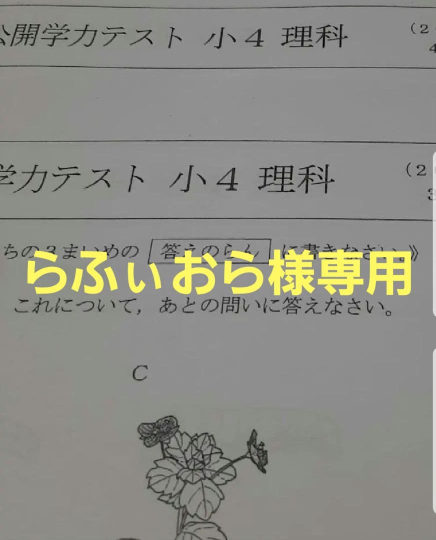 らふぃおら