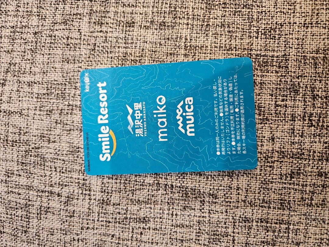 舞子スノーリゾート 1日券 大人割引 2025-2026 - メルカリ