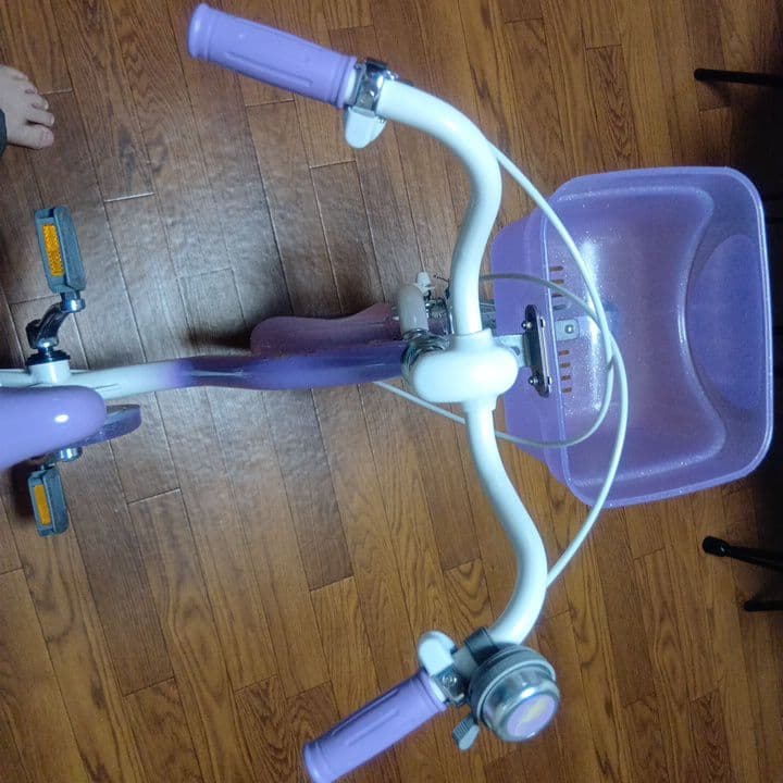 ちゃお様専用。幼児用自転車☆ラプンツェル 18インチ