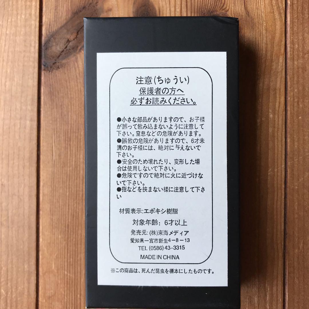 昆虫標本 エレガンスツヤクワガタ - メルカリ