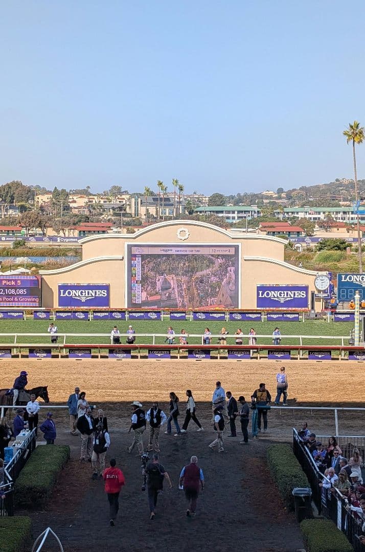 フォーエバーヤング BCクラシック2025 単勝馬券 - メルカリ