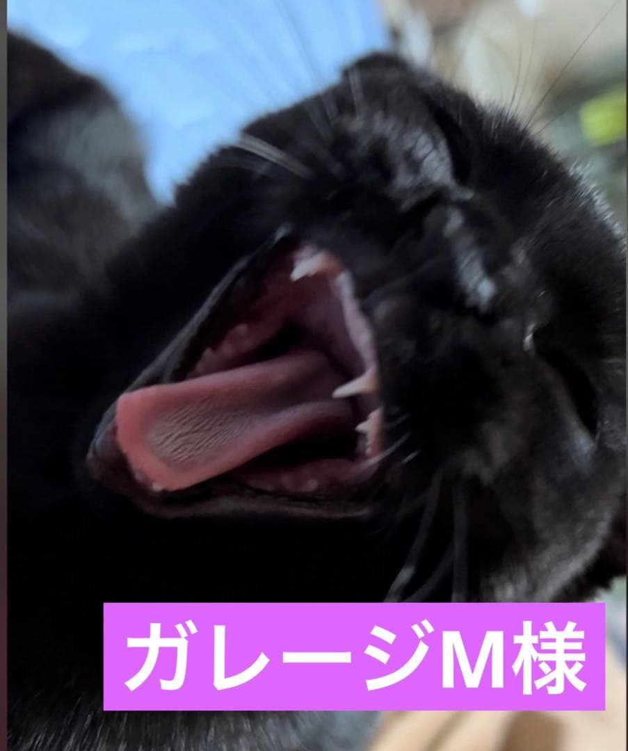 ガレージM様 選べる洗浄ツールプレゼント中！】タクボガレージ ベルフォーマ