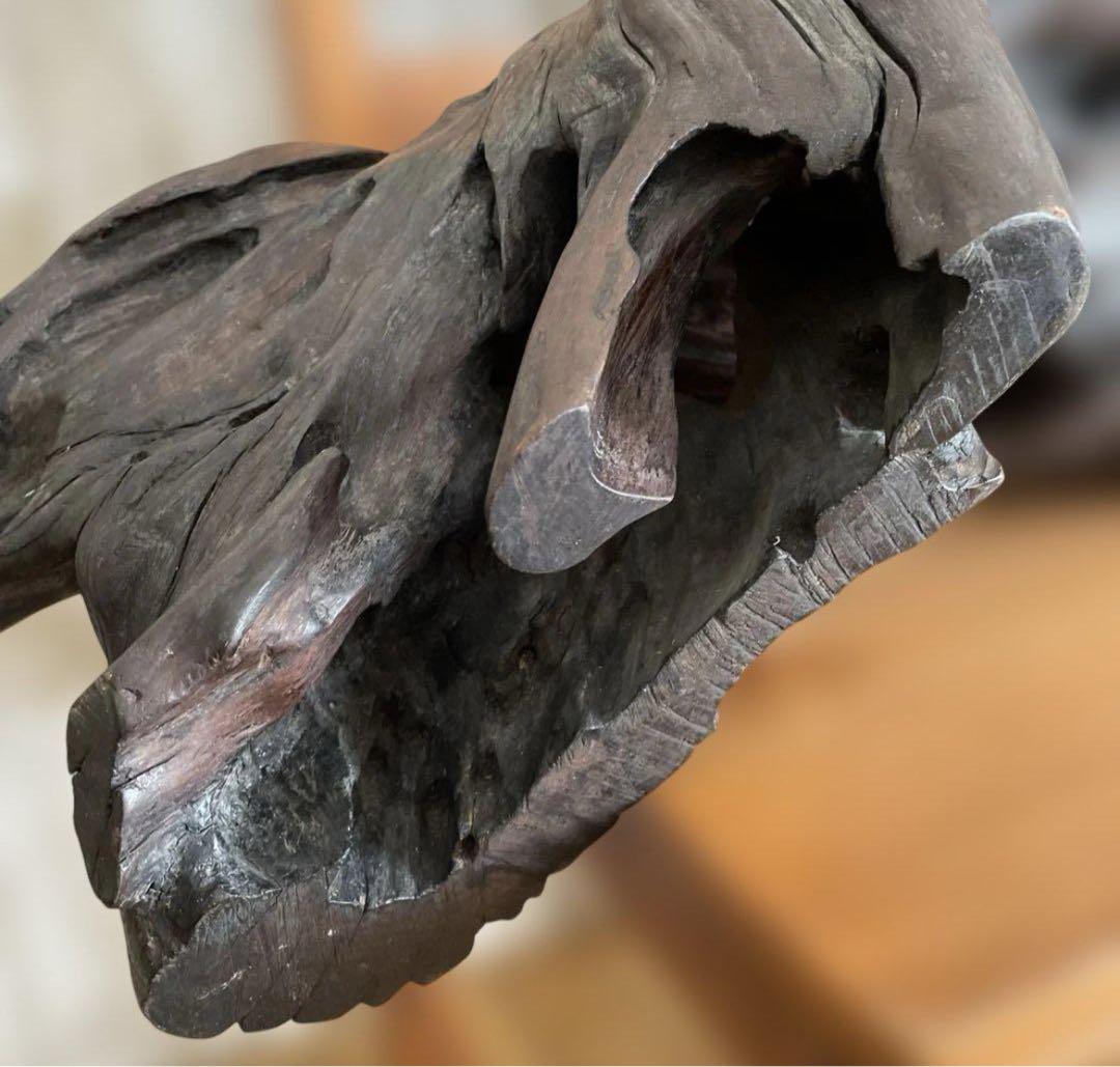 73cm 【大木 天然木 古根 オブジェ】古木 流線形